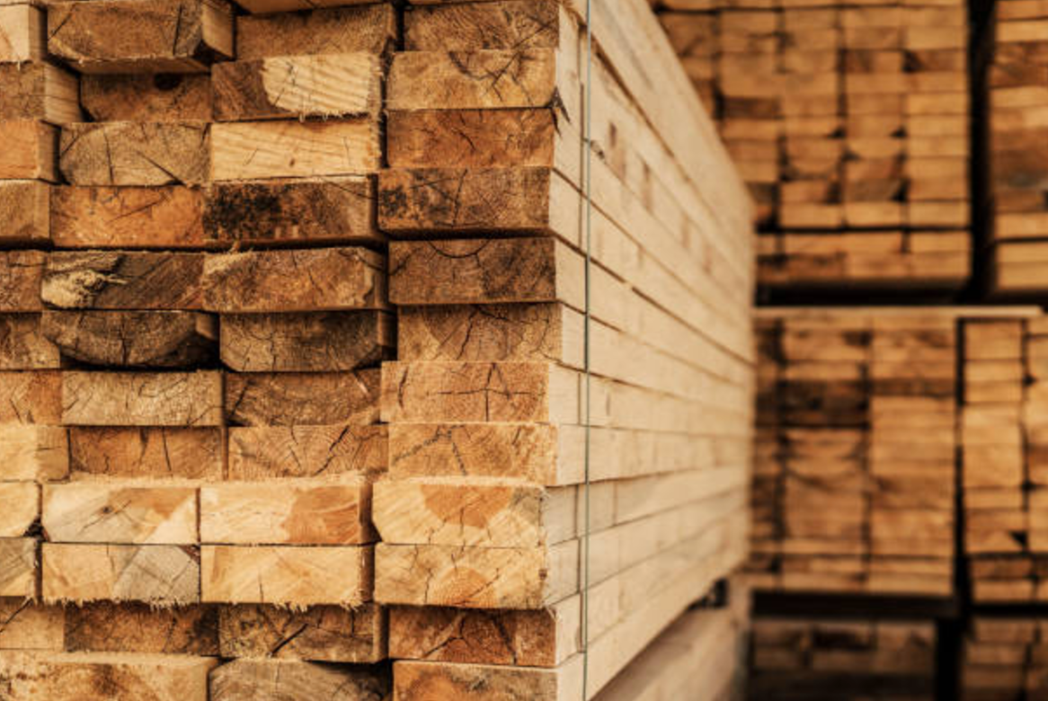 How to Choose the Right Wood for Your Project – Byrd Tool Experts