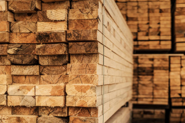 How to Choose the Right Wood for Your Project