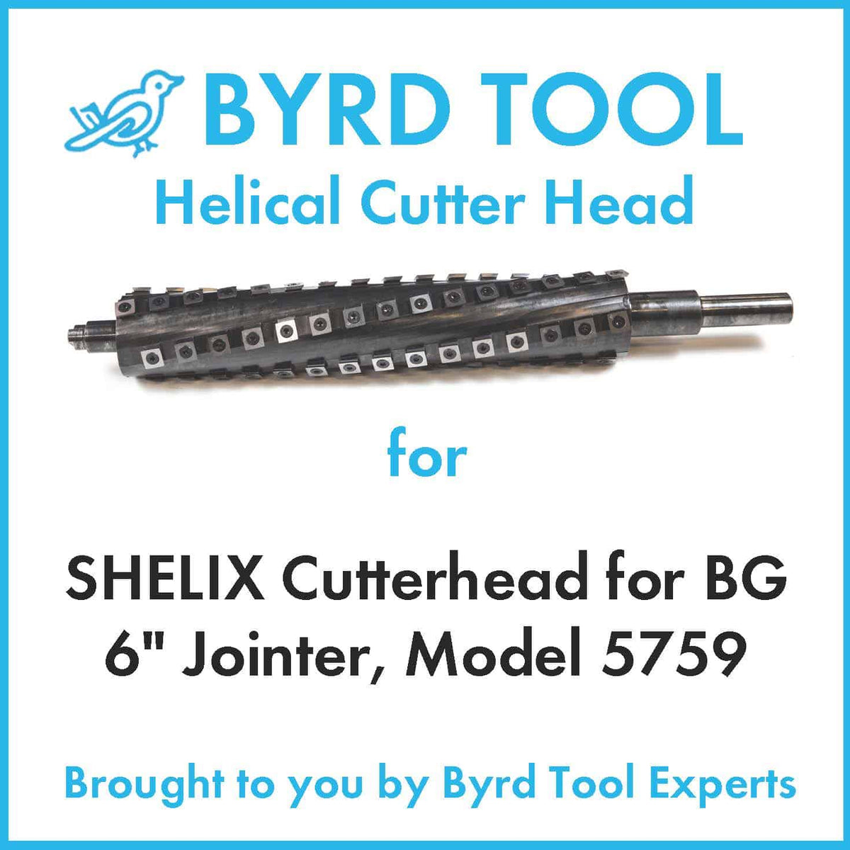 SHELIX Cutterhead for BG 6″ Jointer, Model 5759